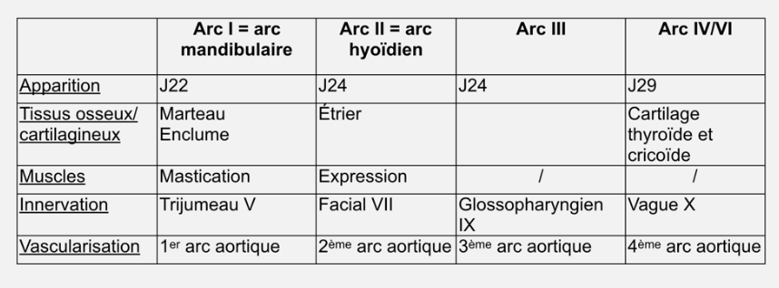 A propos de l'apareil pharyngien.png