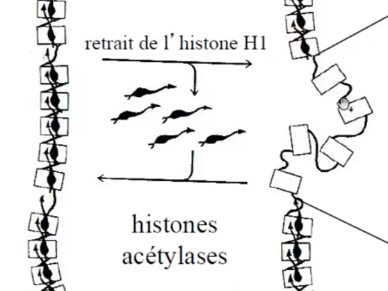 Capture d’écran 2021-02-23 à 22.00.38.png