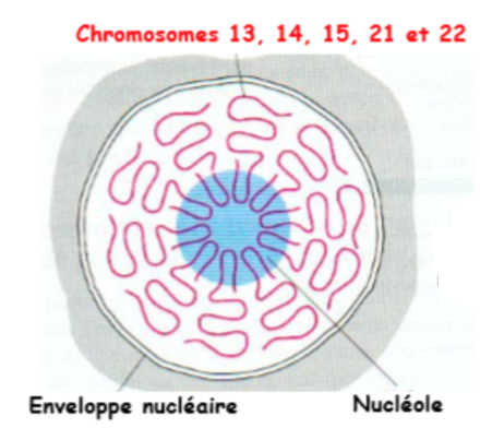 Capture d’écran 2021-02-24 à 21.26.51.png