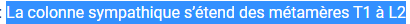 Capture anat.PNG