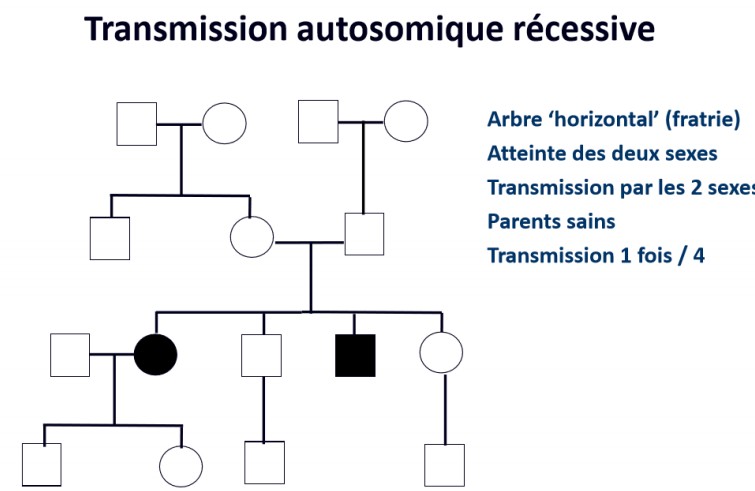 Sans titre 3.jpg