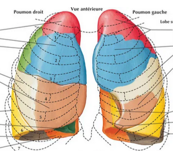 encoche cardiaque 3.PNG