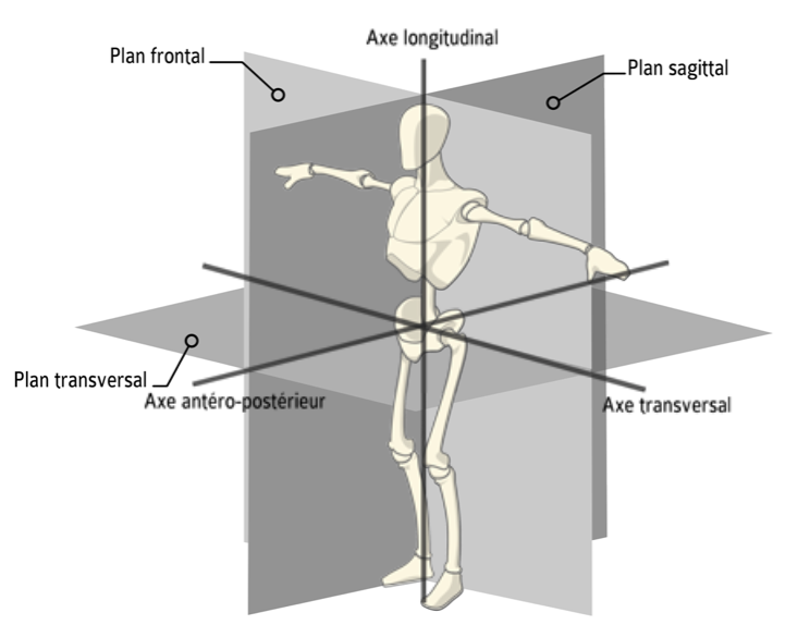 Plans et axes.png