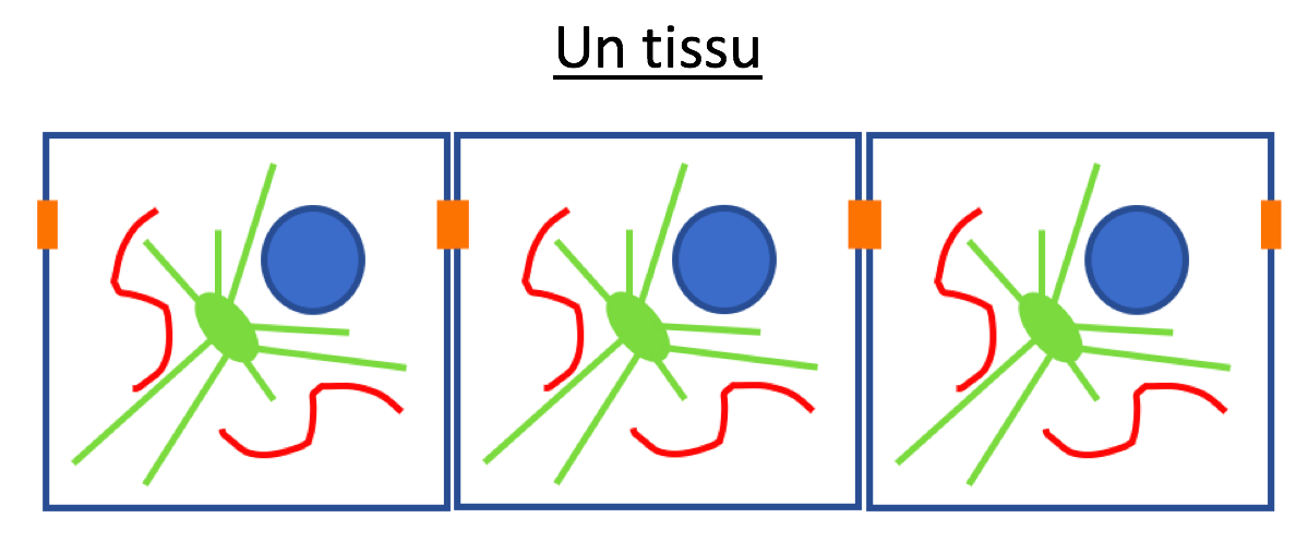 Capture d’écran 2021-04-22 à 15.26.06.png