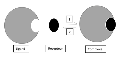 colle sup 1 qcm 16.png