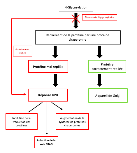 Capture d’écran 2021-05-08 à 20.06.34.png