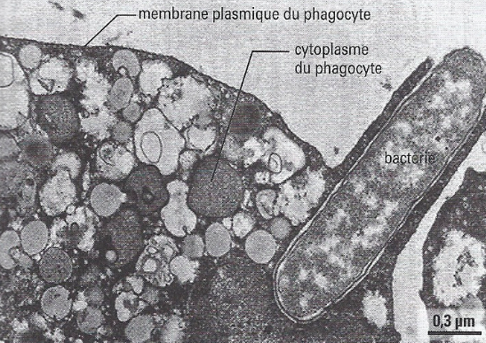 Capture d’écran 2021-05-10 à 20.13.58.png