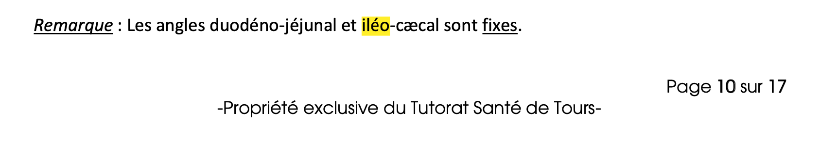 Capture d’écran 2021-05-22 à 18.17.28.png