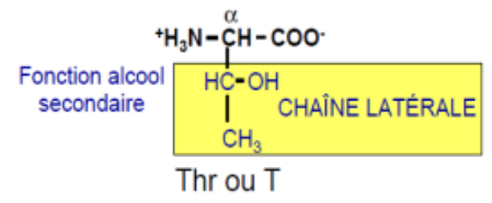 thréonine.PNG