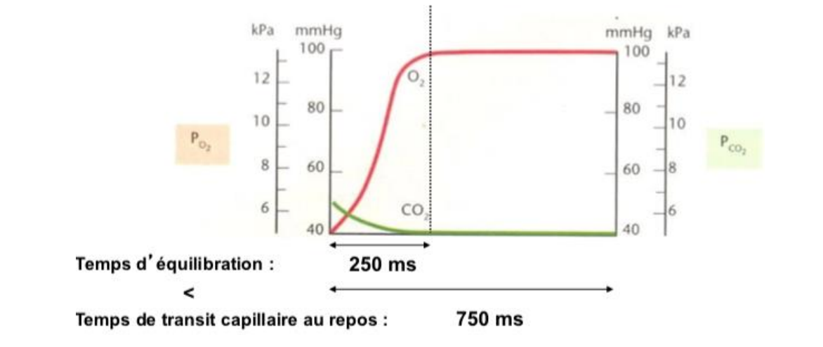 Capture d’écran 2020-10-31 à 17.55.58.png