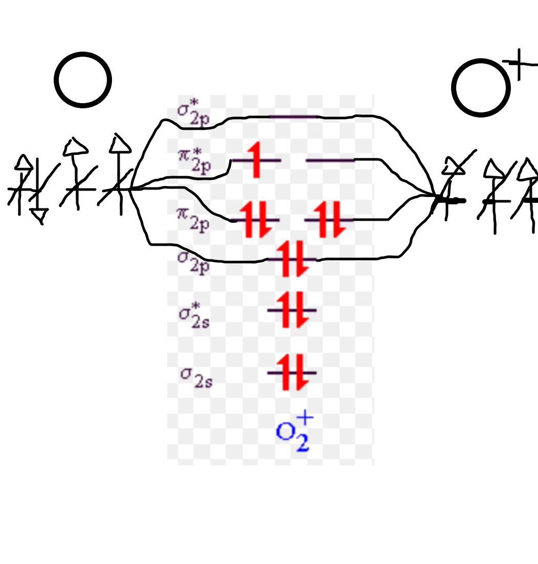 Orbitale moléculaire - O2+.png