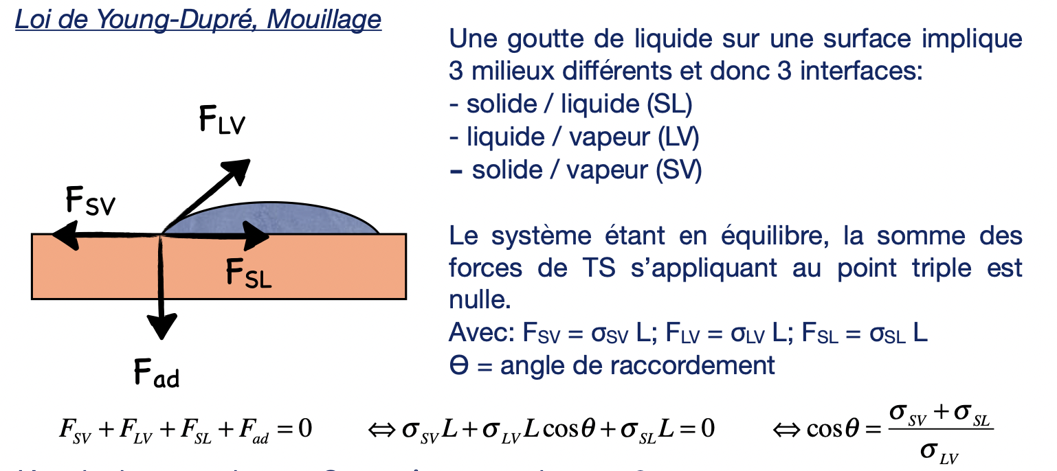 Capture d’écran 2021-10-27 à 12.39.24.png