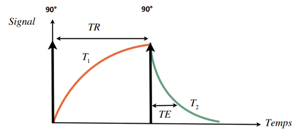 TR et TE.PNG