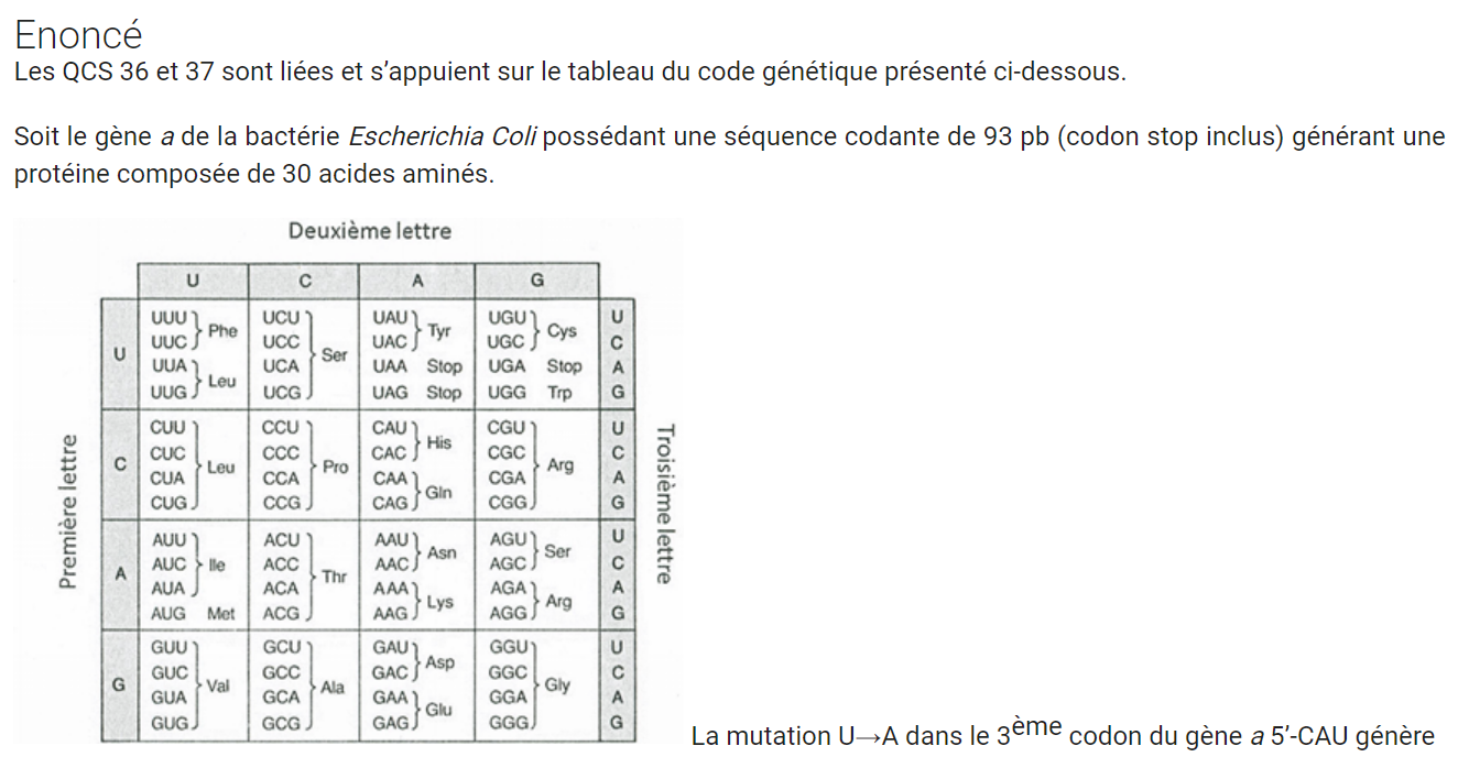 Capture d’écran 2021-11-27 113624.png