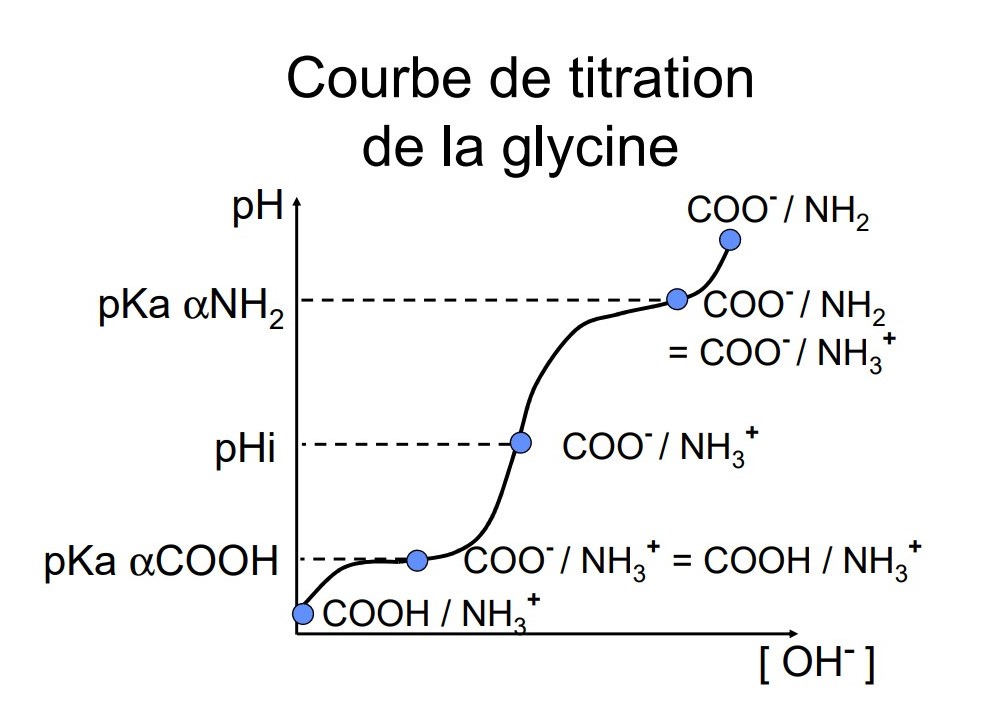 Courbe de titration de la glycine.jpg