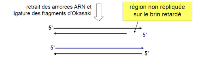 Capture d’écran 2021-12-02 162234.png