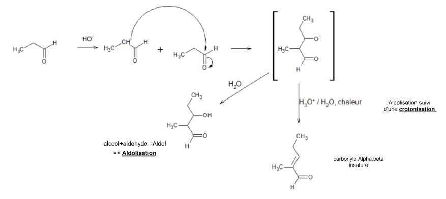 aldolisation.JPG