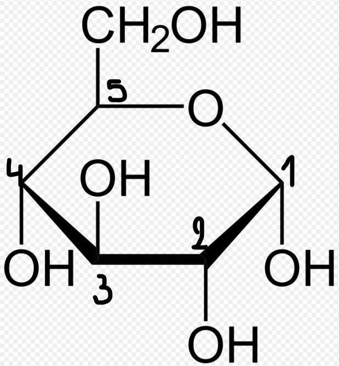 pyranose.jpg