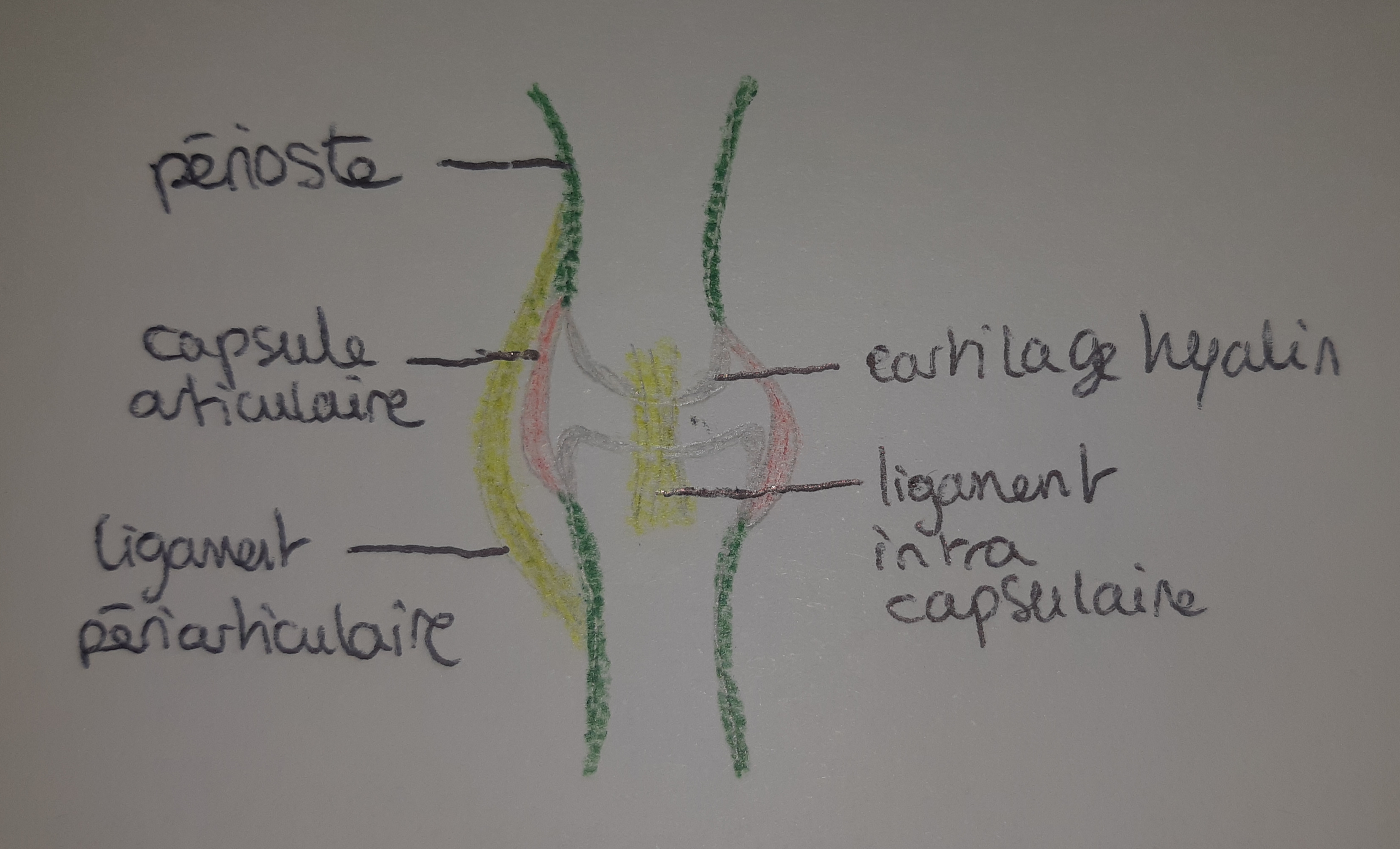 20220130_150255.jpg