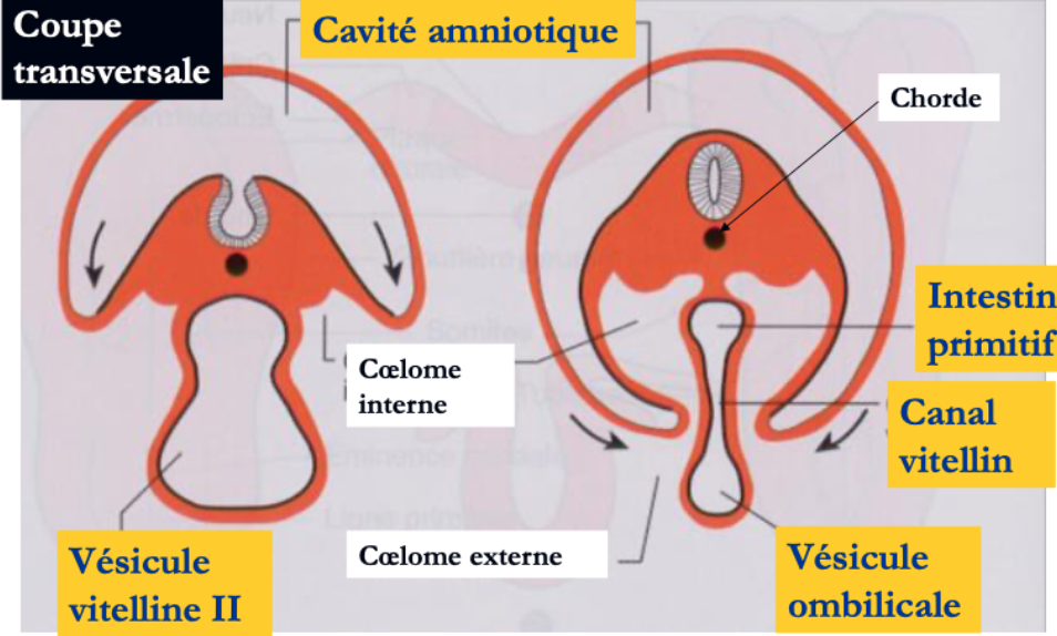 Capture d’écran 2022-02-18 à 20.07.15.png