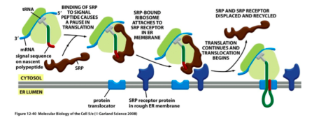 Capture d’écran 2022-03-12 à 11.43.22.png