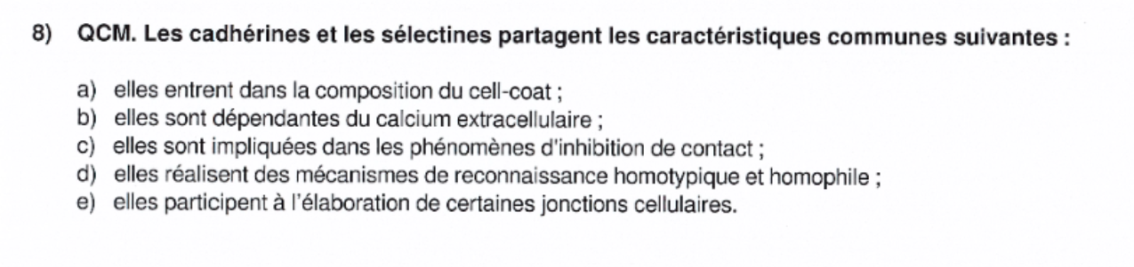 Capture d’écran 2022-03-31 135026.png