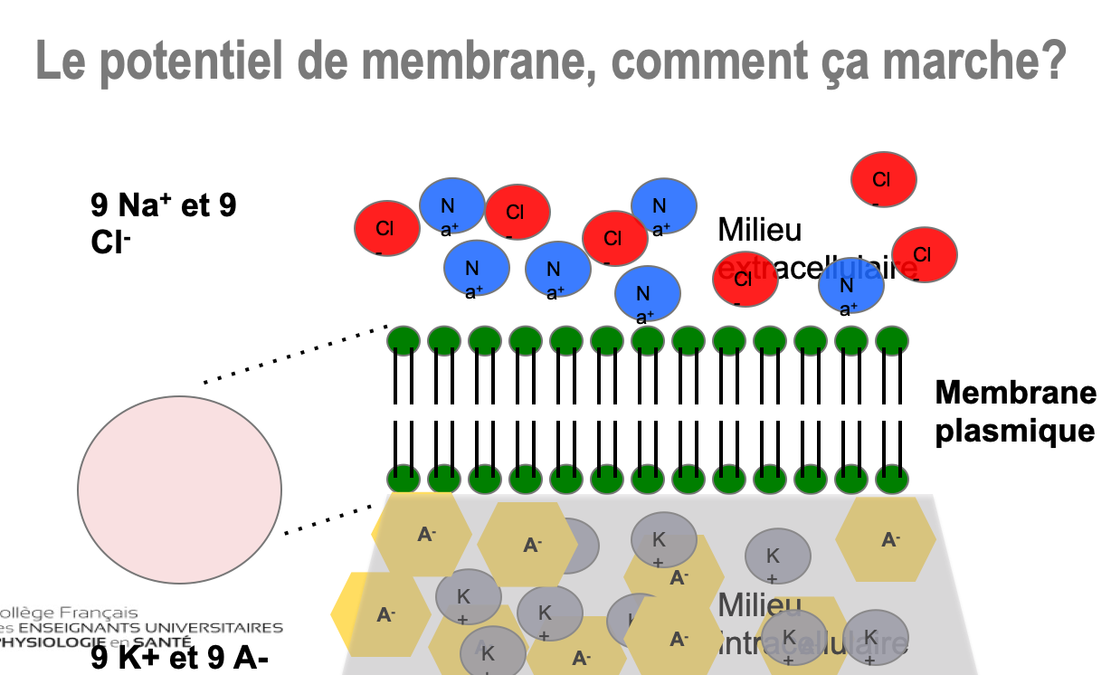 Capture d’écran 2020-11-04 à 10.04.02.png