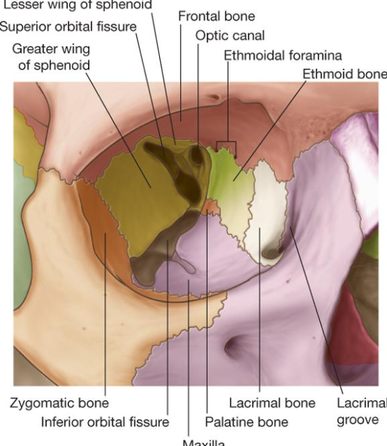 Capture d’écran 2022-04-08 214815.png