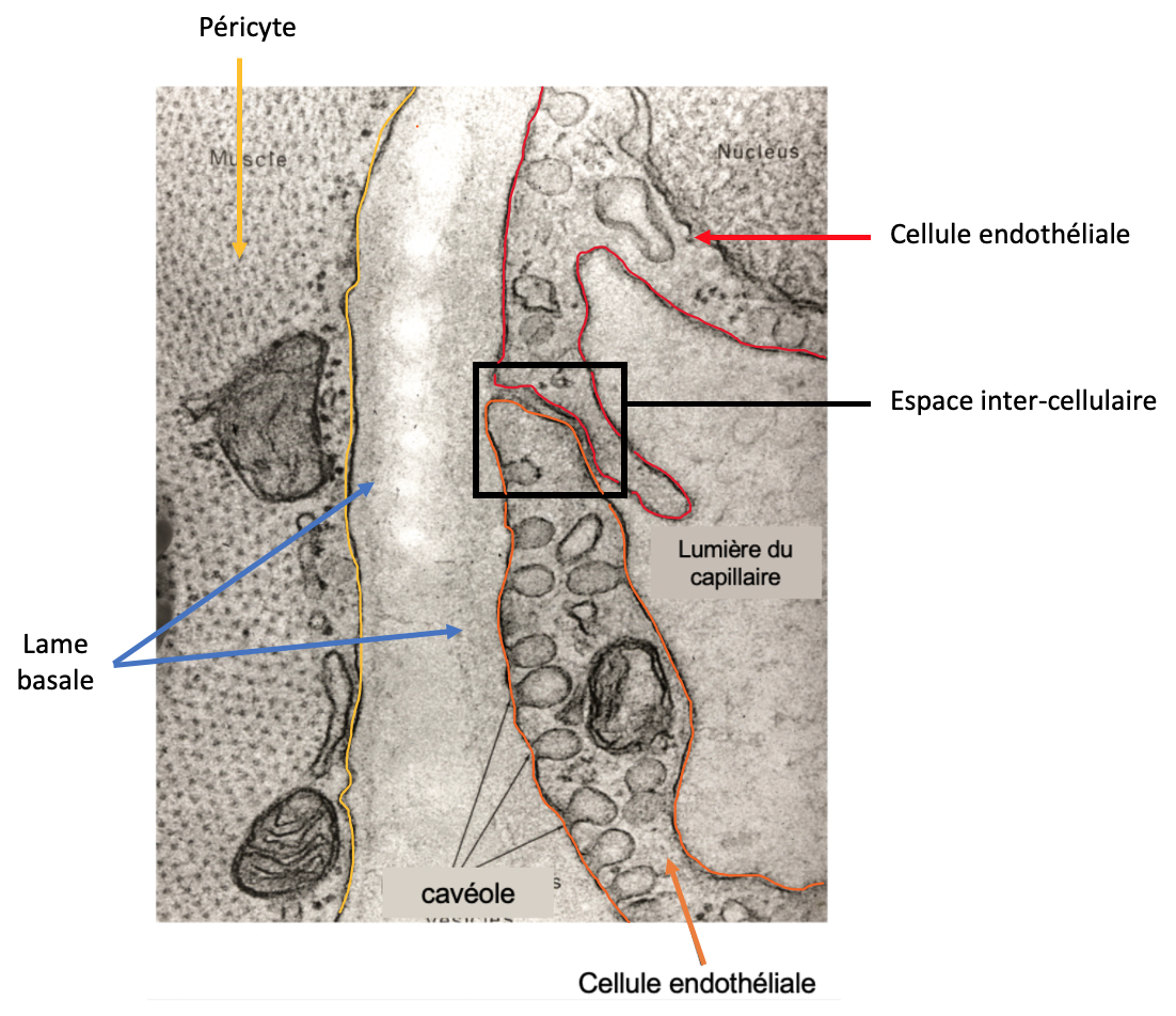 Capture d’écran 2022-04-10 à 19.07.42.png