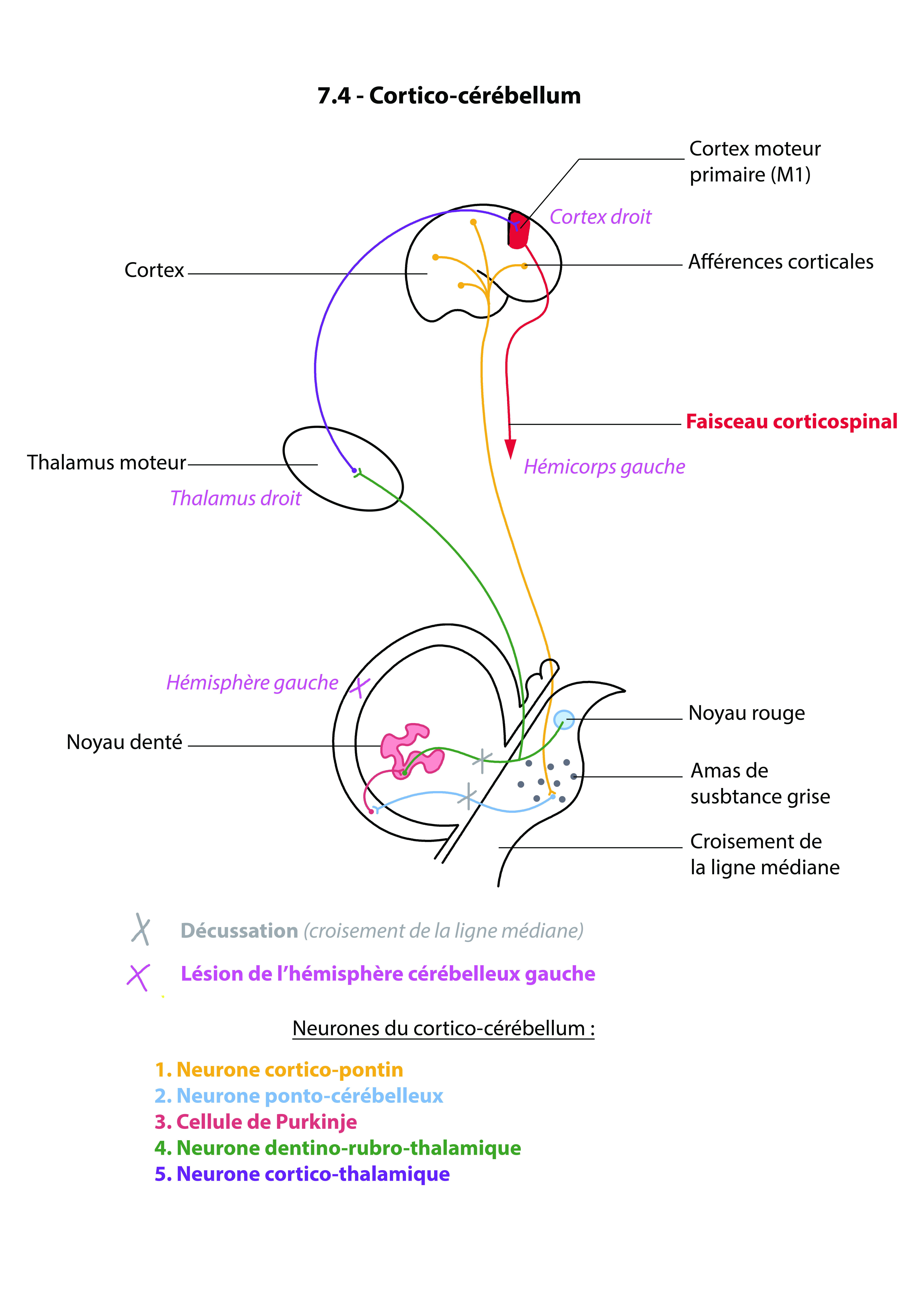 Copie de Schéma 7.4.jpg