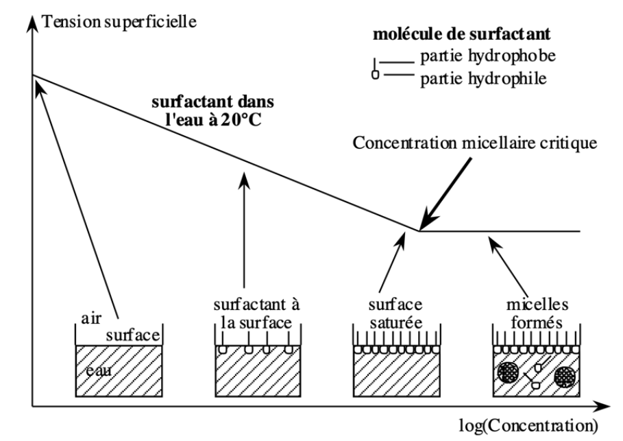 Micelles.png