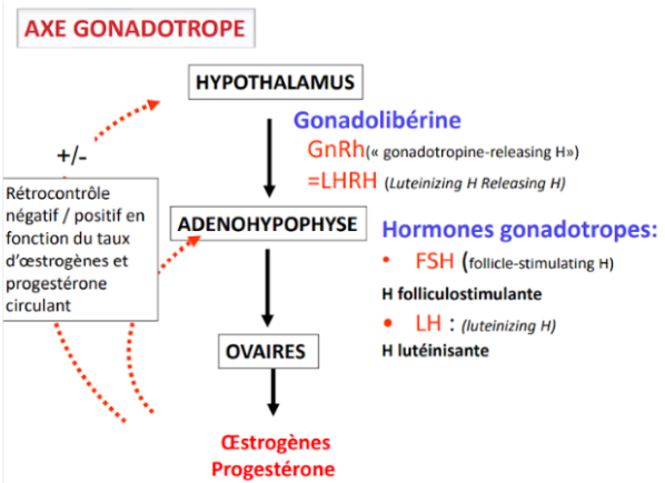 Capture d’écran 2022-10-05 154325.png