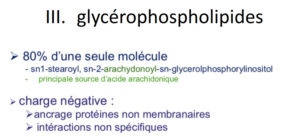 Capture d’écran 2022-10-05 163747.png