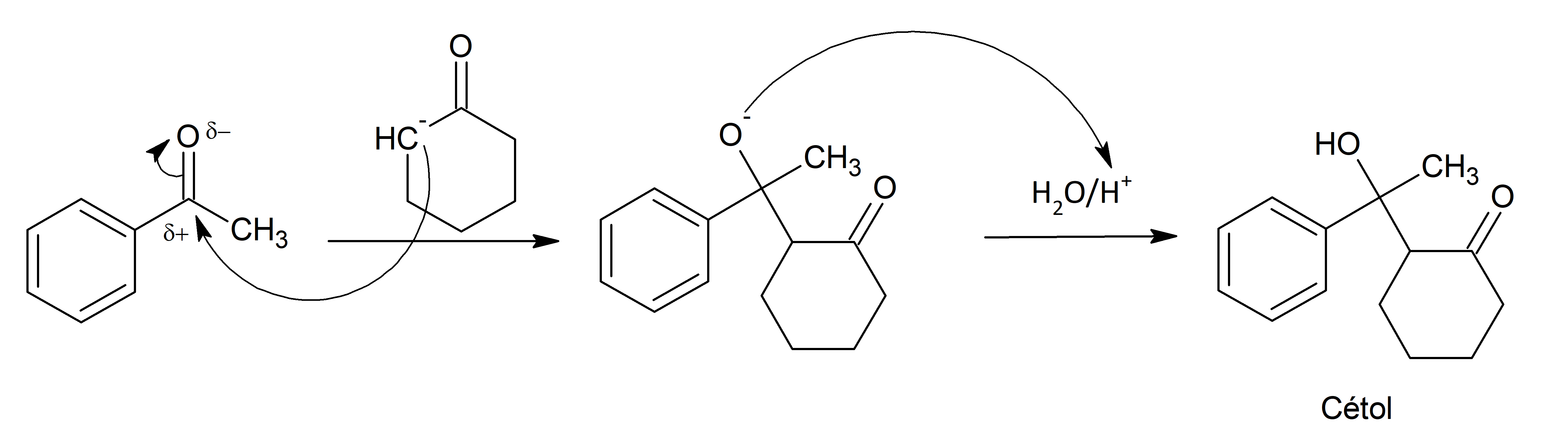 Réponse Forum Finale 4.png