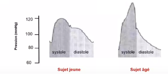 pression artérielle.png