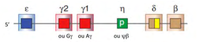 GraphiqueCollé-2.png