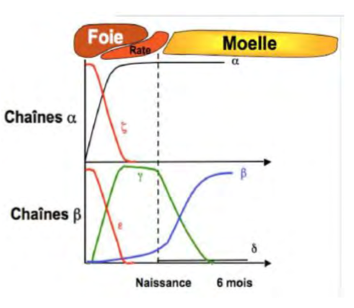 GraphiqueCollé-3.png
