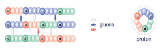 Gluon.png