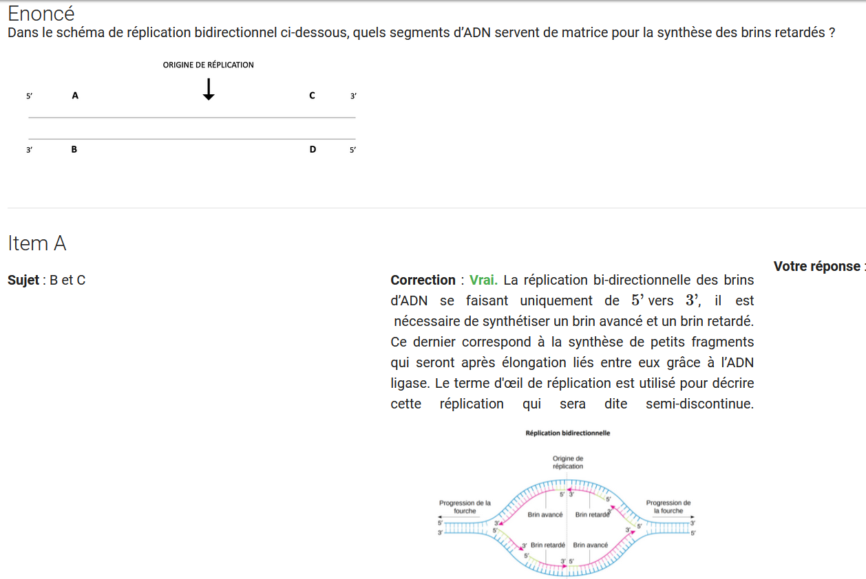 Capture réplication.PNG