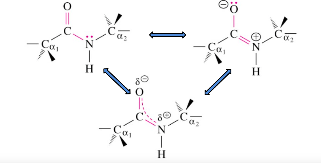 6 atomes coplanaires.png