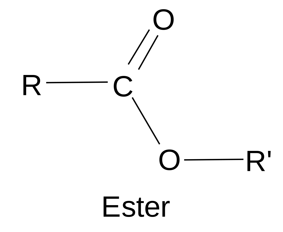 1200px-Ester-fr.svg.png