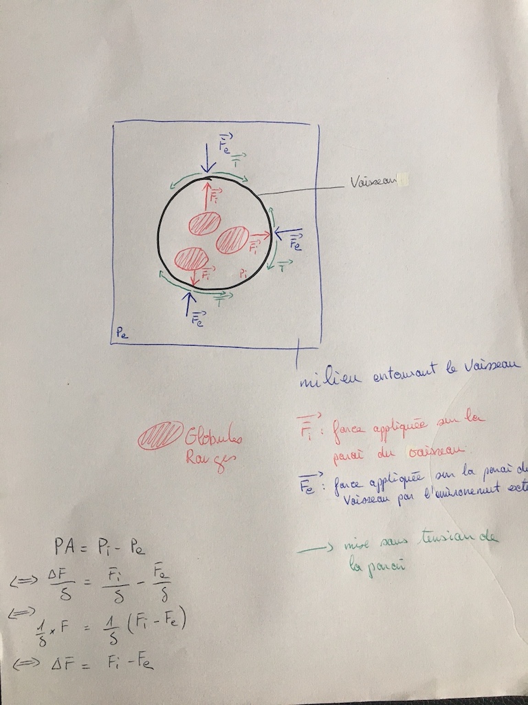 IMG_4285 - copie.jpg