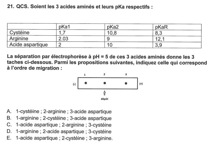 Capture d’écran 2022-11-26 165035.png