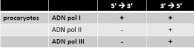 tableau exonucléase pol.JPG