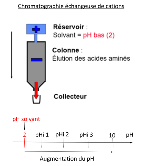 Capture d'écran_20221202_144111.png