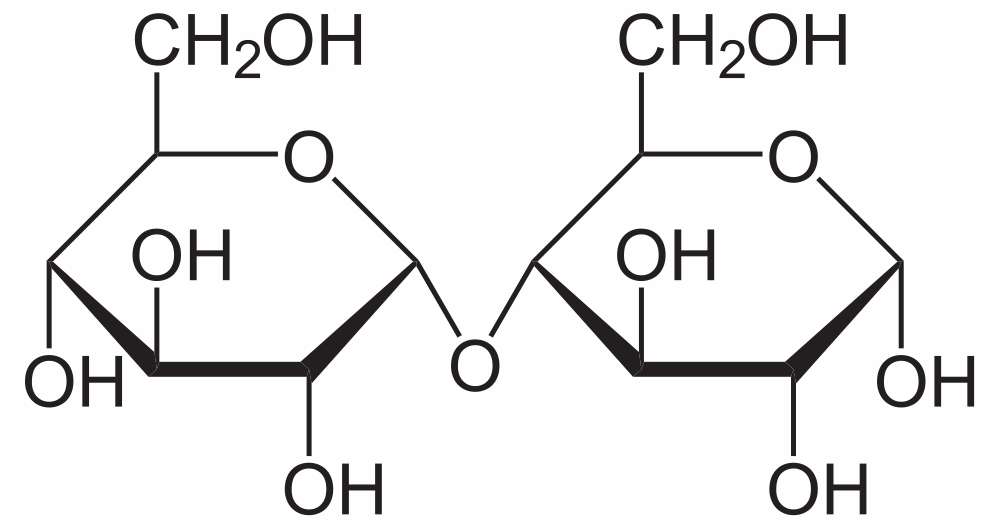 maltose.jpg