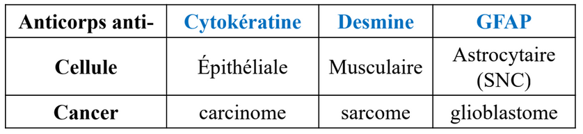 FI et métastases.png
