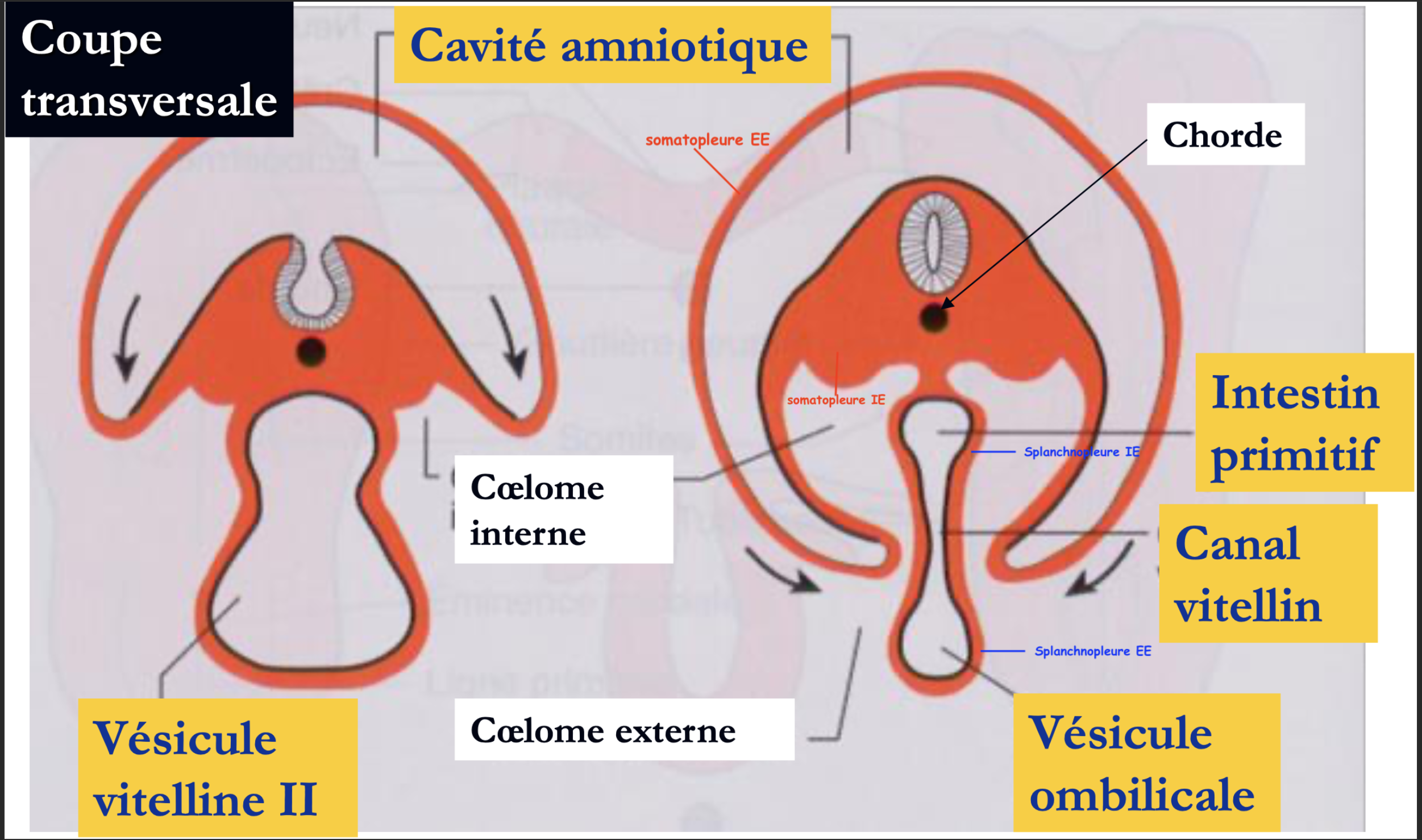 Capture d’écran 2023-01-26 à 14.58.22.png