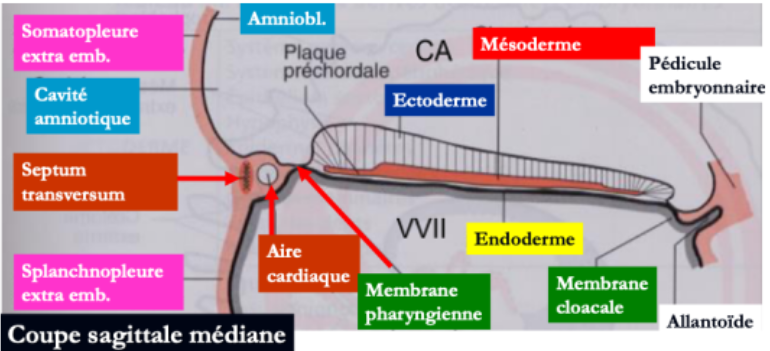 Capture d’écran (203).png