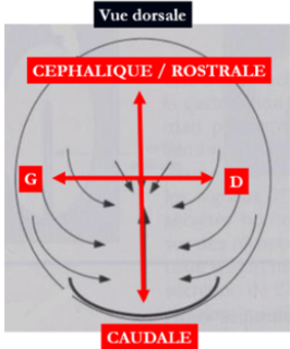 Capture d’écran (207).png